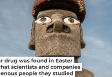 The Rapa Nui people are mostly invisible in the origin story of rapamycin. Posnov/Moment via Getty Images